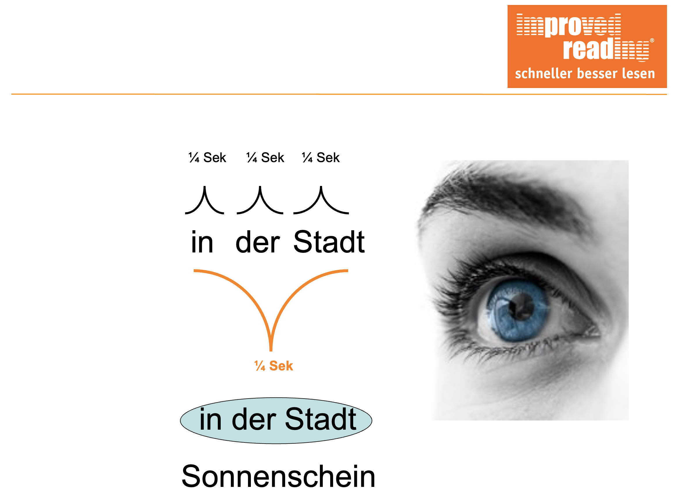 Beschreibung des Bildes